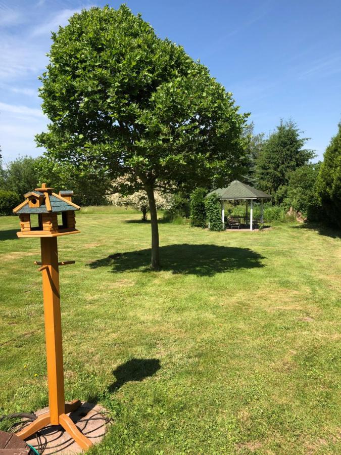 Gemuetliches Apartment Garden View Ramstein-Miesenbach Exterior foto
